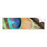 Peacock Feather Designs Bumper Sticker