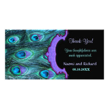 Peacock Feather Drama - Thank You Card Photo Greeting Card