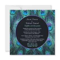 Peacock Feather Drama - Wedding Invitation Square