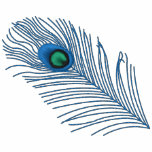 Peacock Feather Embroidered Shirt embroidered shirts