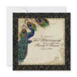 Peacock & Feather Formal Wedding Invite Black Tan invitations