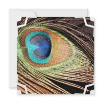 Peacock Feather Invitation
