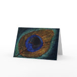 Peacock Feather Macro Greeting Card