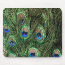 Peacock Feather Mouse Pad