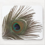 Peacock feather mousepads