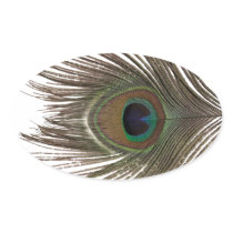 Peacock feather oval oval stickers