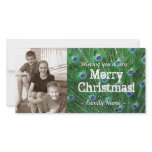 Peacock Feather Photo Christmas Card photo cards