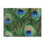 Peacock Feather Postcard