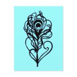 Peacock Feather postcards