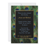 Peacock Feather Rehearsal Dinner Invitation