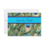 Peacock Feather Save the Date Card 5x3.5 invitations