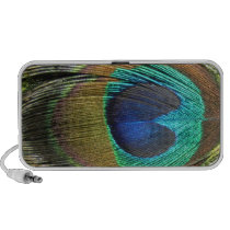 Peacock Feather Speaker speakers