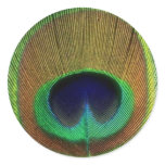 Peacock Feather Sticker