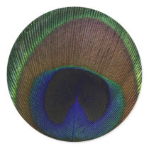 Peacock Feather Sticker