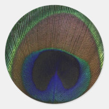 Peacock Feather Sticker