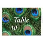 Peacock Feather Table Seating Card