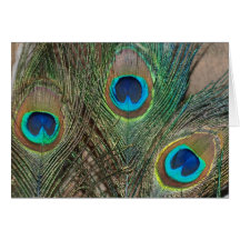 Peacock Feather Wedding Greeting Card