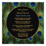 Peacock Feather Wedding Invitation Square