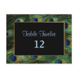 Peacock Feather Wedding Table Seating Number Post Card