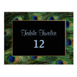 Peacock Feather Wedding Table Seating Number Post Card