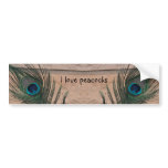Peacock Feather with Bricks bumper stickers