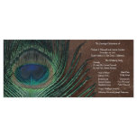 Peacock Feather with Brown and Gold rack cards