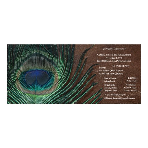 Peacock Feather with Brown and Gold Full Colour Rack Card