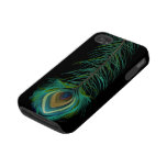 Peacock Feather You Choose Background Colour casemate cases
