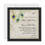 Peacock Feathers Black Damask Wedding Stationery invitations