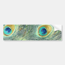 PEACOCK FEATHERS BUMPER STICKERS