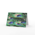 Peacock Feathers cards