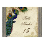 Peacock & Feathers Formal Wedding Table Numbers Post Cards