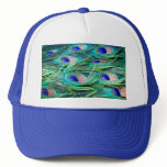 Peacock Feathers