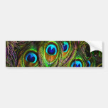 Peacock Feathers Invasion Bumper Stickers