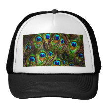 Peacock Feathers Invasion Hats