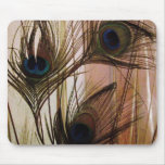Peacock Feathers Mouse Pad