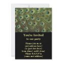 Peacock Feathers Pattern invitations