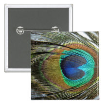 Peacock Feathers Pinback Buttons