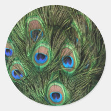 Peacock Feathers Round Stickers