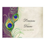 Peacock Feathers RSVP Response Postcards