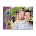 Peacock Feathers Save the Date Invite Cards