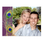 Peacock Feathers Save the Date Invite Cards Postcard