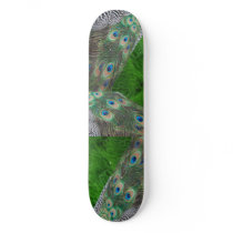 Peacock feathers skate board decks