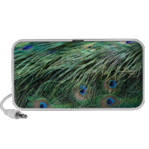 Peacock Feathers Speaker speakers