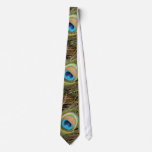 Peacock Feathers Tie