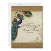 Peacock & Feathers Vintage Gold Look Damask  Swirl