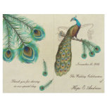 Peacock Feathers Wedding Program 2 flyers