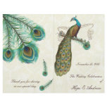 Peacock Feathers Wedding Program on Damask flyers