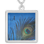 Peacock Feathers with Dark Blue Necklace