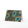 Peacock Feathers with Rocks
